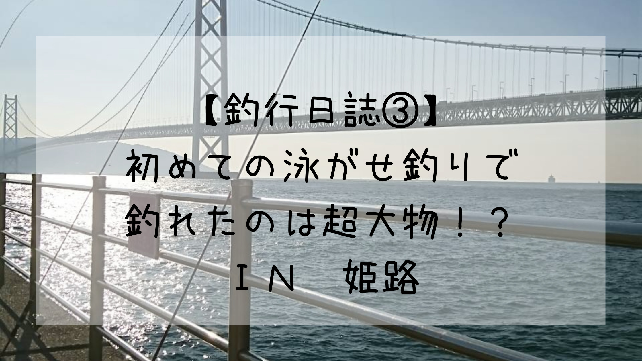 釣行日誌 初めての泳がせ釣りで釣れたのは超大物 ｉｎ姫路 めんまとなるとの釣り人参